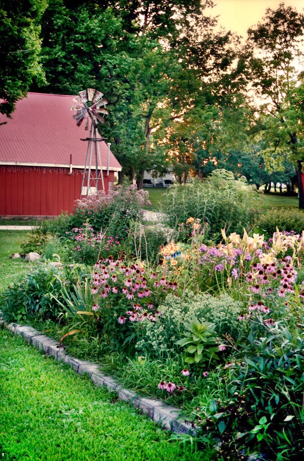 garden.jpg