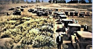 Visitors to Carlinville to see the Otwell Iris Fields